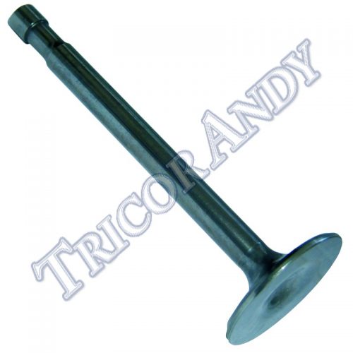 VALVE INLET/EXHAUST PU 500 46-59 (V14)