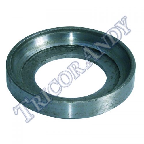 HEADRACE BEARING CUP