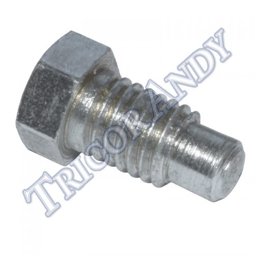 TAPPET BLOCK BOLT